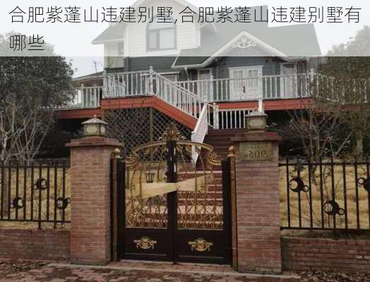 合肥紫蓬山违建别墅,合肥紫蓬山违建别墅有哪些