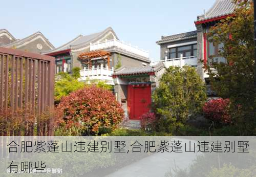 合肥紫蓬山违建别墅,合肥紫蓬山违建别墅有哪些