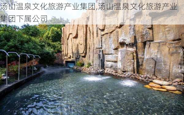 汤山温泉文化旅游产业集团,汤山温泉文化旅游产业集团下属公司