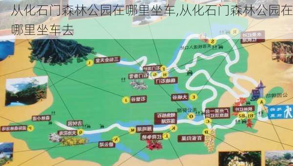 从化石门森林公园在哪里坐车,从化石门森林公园在哪里坐车去