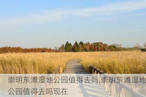 崇明东滩湿地公园值得去吗,崇明东滩湿地公园值得去吗现在