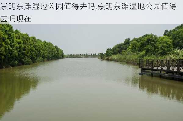 崇明东滩湿地公园值得去吗,崇明东滩湿地公园值得去吗现在