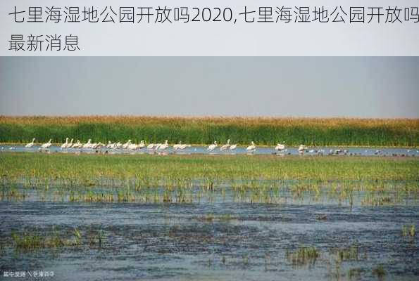 七里海湿地公园开放吗2020,七里海湿地公园开放吗最新消息