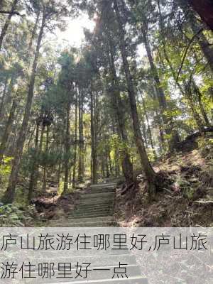 庐山旅游住哪里好,庐山旅游住哪里好一点