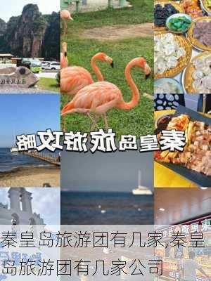 秦皇岛旅游团有几家,秦皇岛旅游团有几家公司