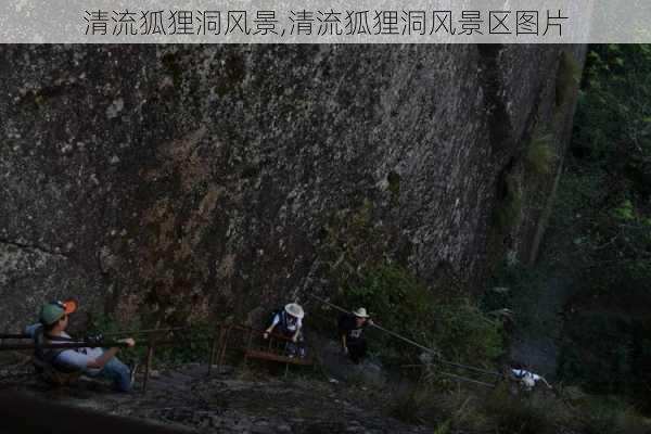 清流狐狸洞风景,清流狐狸洞风景区图片