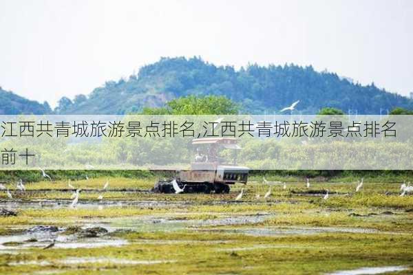 江西共青城旅游景点排名,江西共青城旅游景点排名前十