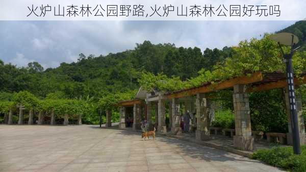 火炉山森林公园野路,火炉山森林公园好玩吗