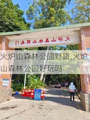 火炉山森林公园野路,火炉山森林公园好玩吗