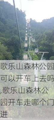 歌乐山森林公园可以开车上去吗,歌乐山森林公园开车走哪个门进