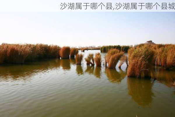 沙湖属于哪个县,沙湖属于哪个县城