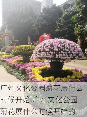 广州文化公园菊花展什么时候开始,广州文化公园菊花展什么时候开始的