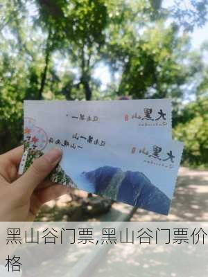 黑山谷门票,黑山谷门票价格