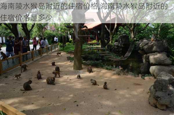 海南陵水猴岛附近的住宿价格,海南陵水猴岛附近的住宿价格是多少