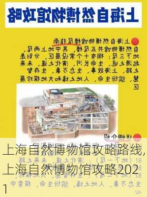 上海自然博物馆攻略路线,上海自然博物馆攻略2021