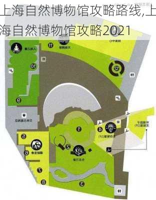 上海自然博物馆攻略路线,上海自然博物馆攻略2021