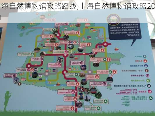 上海自然博物馆攻略路线,上海自然博物馆攻略2021