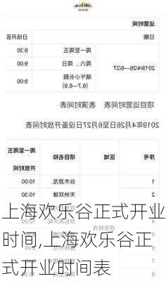 上海欢乐谷正式开业时间,上海欢乐谷正式开业时间表