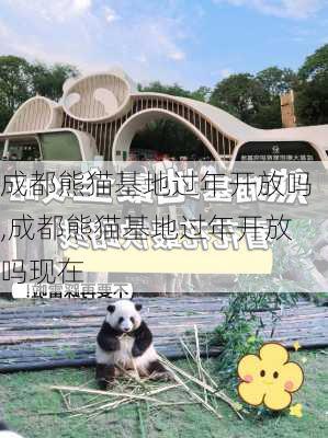 成都熊猫基地过年开放吗,成都熊猫基地过年开放吗现在