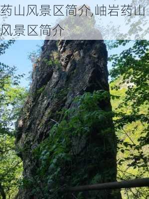 药山风景区简介,岫岩药山风景区简介