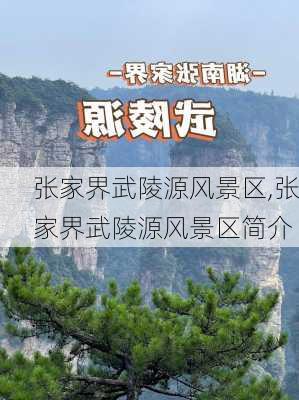 张家界武陵源风景区,张家界武陵源风景区简介