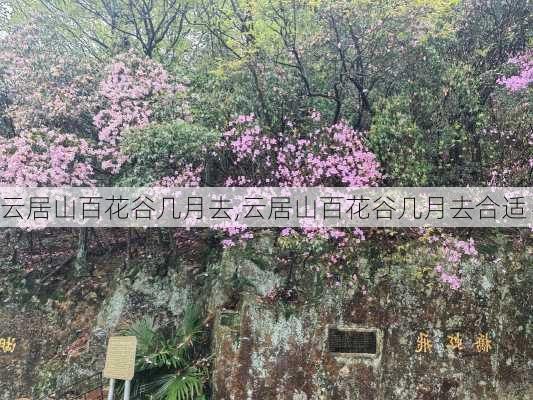 云居山百花谷几月去,云居山百花谷几月去合适