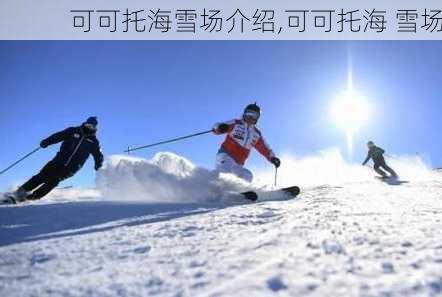 可可托海雪场介绍,可可托海 雪场