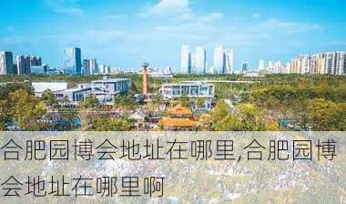 合肥园博会地址在哪里,合肥园博会地址在哪里啊