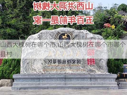 山西大槐树在哪个市,山西大槐树在哪个市哪个县村