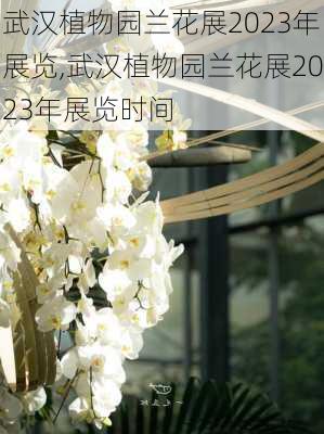 武汉植物园兰花展2023年展览,武汉植物园兰花展2023年展览时间