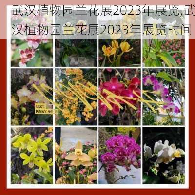 武汉植物园兰花展2023年展览,武汉植物园兰花展2023年展览时间