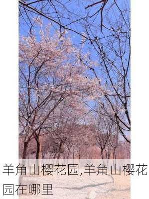 羊角山樱花园,羊角山樱花园在哪里