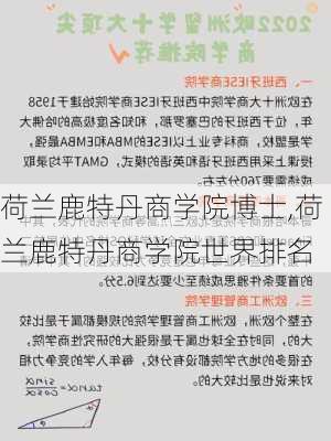 荷兰鹿特丹商学院博士,荷兰鹿特丹商学院世界排名