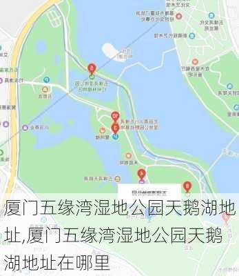 厦门五缘湾湿地公园天鹅湖地址,厦门五缘湾湿地公园天鹅湖地址在哪里