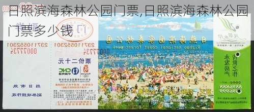 日照滨海森林公园门票,日照滨海森林公园门票多少钱