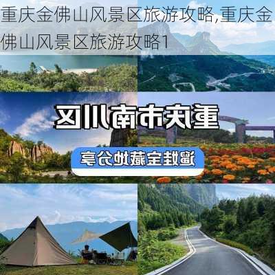 重庆金佛山风景区旅游攻略,重庆金佛山风景区旅游攻略1