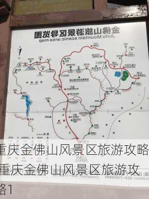 重庆金佛山风景区旅游攻略,重庆金佛山风景区旅游攻略1