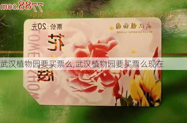 武汉植物园要买票么,武汉植物园要买票么现在