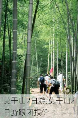 莫干山2日游,莫干山2日游跟团报价