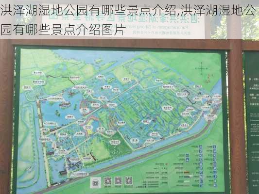 洪泽湖湿地公园有哪些景点介绍,洪泽湖湿地公园有哪些景点介绍图片