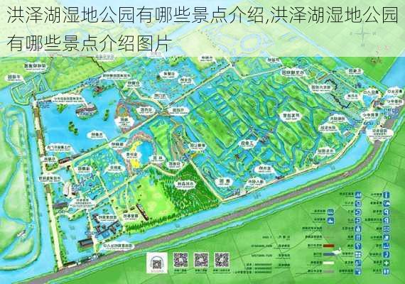 洪泽湖湿地公园有哪些景点介绍,洪泽湖湿地公园有哪些景点介绍图片