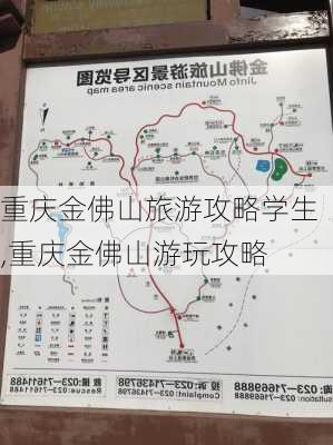 重庆金佛山旅游攻略学生,重庆金佛山游玩攻略