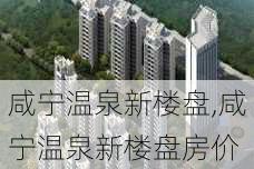 咸宁温泉新楼盘,咸宁温泉新楼盘房价