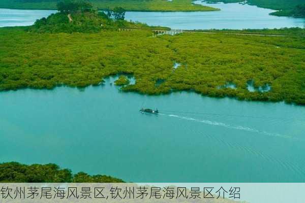 钦州茅尾海风景区,钦州茅尾海风景区介绍