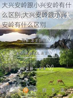 大兴安岭跟小兴安岭有什么区别,大兴安岭跟小兴安岭有什么区别