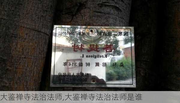 大鉴禅寺法治法师,大鉴禅寺法治法师是谁