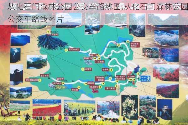 从化石门森林公园公交车路线图,从化石门森林公园公交车路线图片