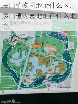 辰山植物园地址什么区,辰山植物园地址在什么地方