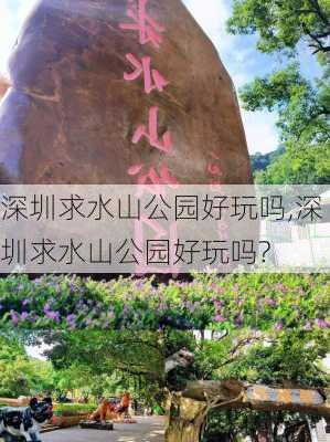 深圳求水山公园好玩吗,深圳求水山公园好玩吗?