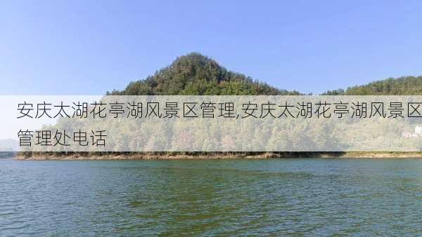 安庆太湖花亭湖风景区管理,安庆太湖花亭湖风景区管理处电话